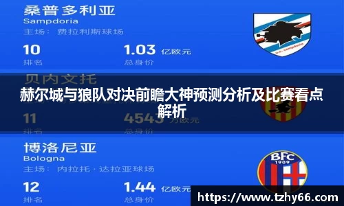 赫尔城与狼队对决前瞻大神预测分析及比赛看点解析